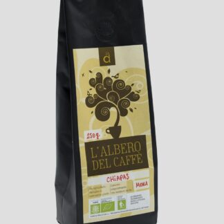 CAFFE Albero del caffe Chiapas