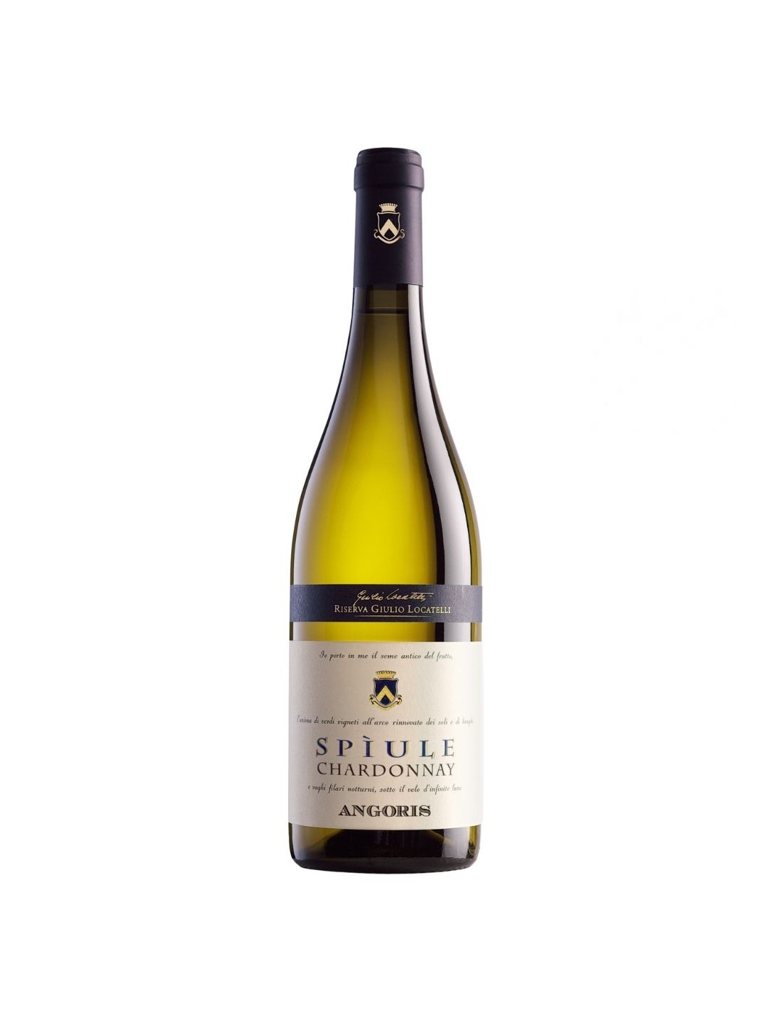 Spìule Chardonnay Bottega Lorenzini